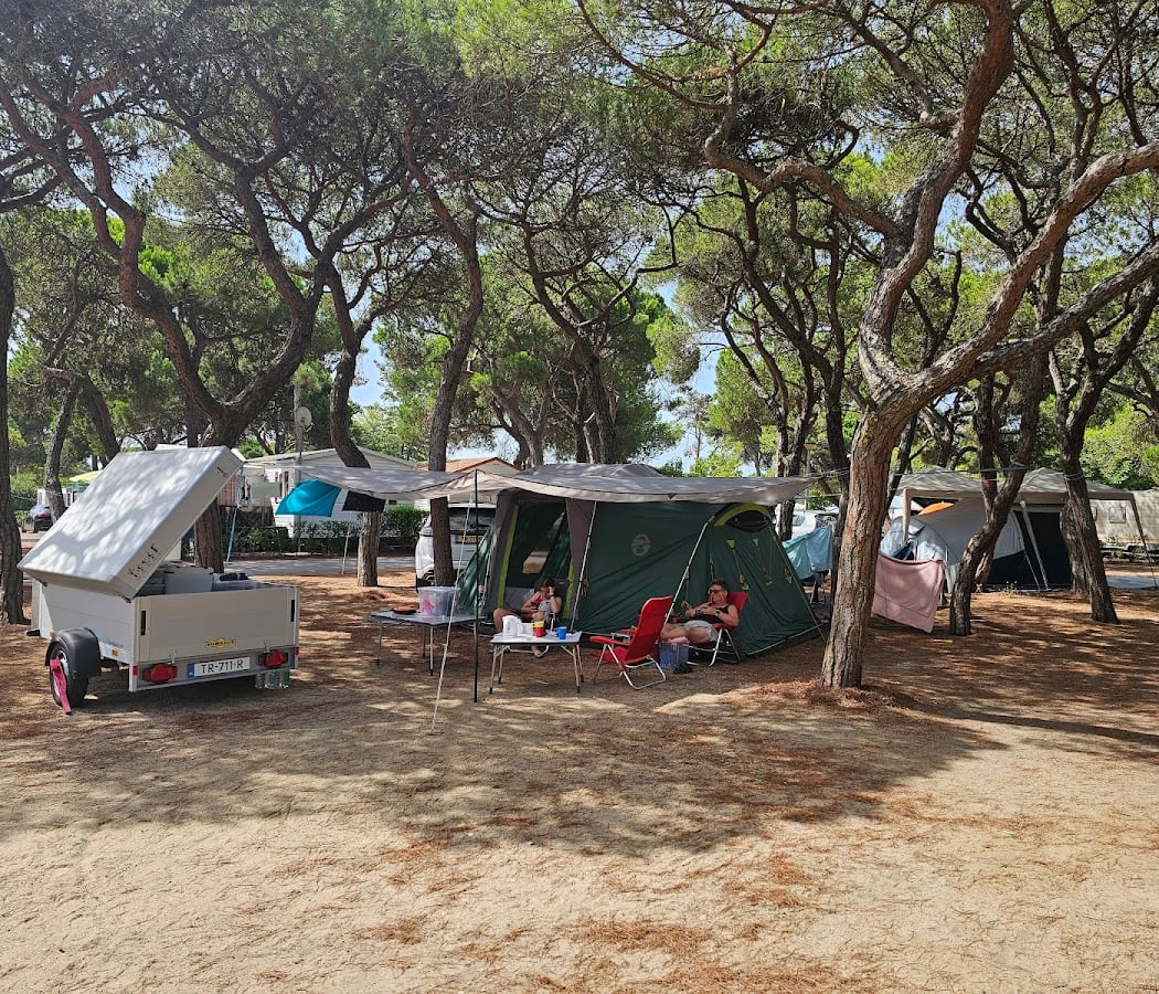 Sumol Summer Fest 2026 2